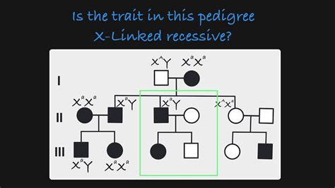 x linked recessive pedigree